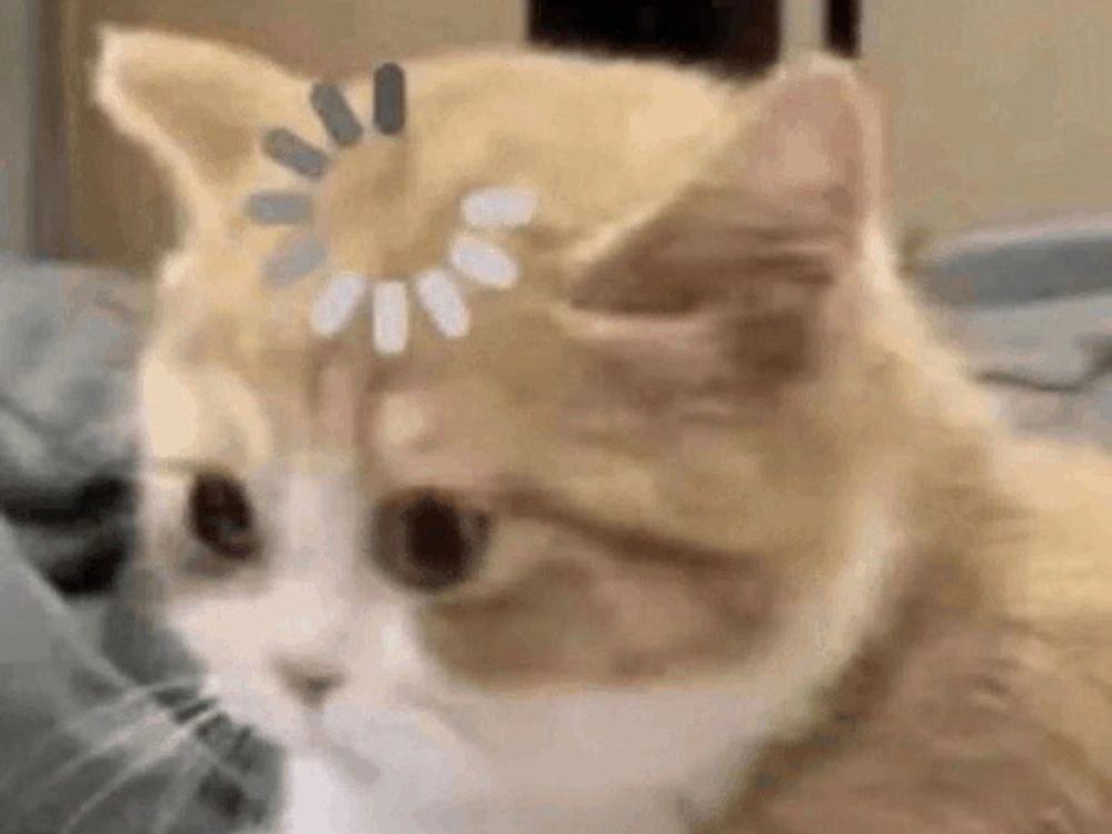 A cat with a loading symbol illustrating a slow internet connection.
